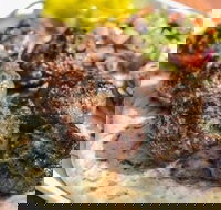 Kofte Co. - Sunshine Coast Tourism