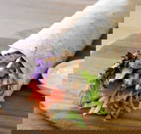 Le Wrap - Rhodes - Holiday Sunshine Coast