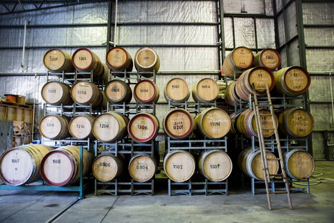 Mino And Co - Holiday Sunshine Coast 0