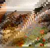 Network Public Bar  Pizzeria - Sunshine Coast Tourism