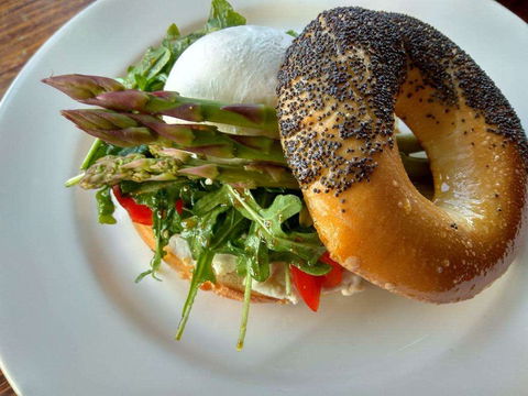 North Cafeteria - Sunshine Coast Tourism 0