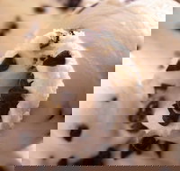 Royal Copenhagen Ice Cream - Glebe - Sunshine Coast Tourism