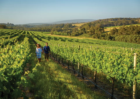 Wills Domain - Sunshine Coast Tourism 0