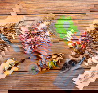 Bar Alto - Holiday Sunshine Coast