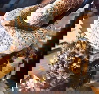 Boxers Burgers - Sunshine Coast Tourism