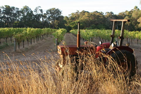 Cape Grace Wines - Holiday Sunshine Coast 2