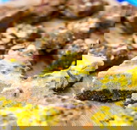 Charlie's Raw Squeeze - Greenslopes - Holiday Sunshine Coast