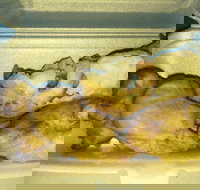 Chop Chop - Holiday Sunshine Coast