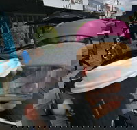 Chocobean - Sunshine Coast Tourism