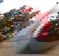 Green Remedy - Sunshine Coast Tourism