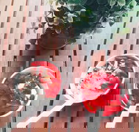 Panache - Sunshine Coast Tourism