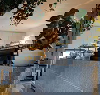 Pinkie - Sunshine Coast Tourism