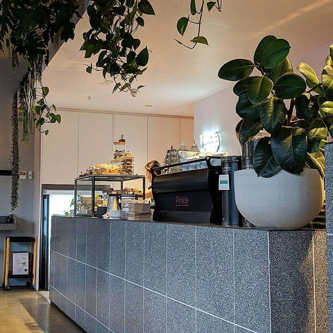 Pinkie - Sunshine Coast Tourism 0