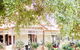 Rich Glen Olive Farm - thumb 1