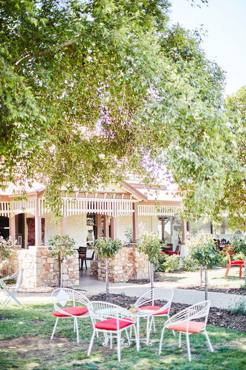Rich Glen Olive Farm - Sunshine Coast Tourism 1