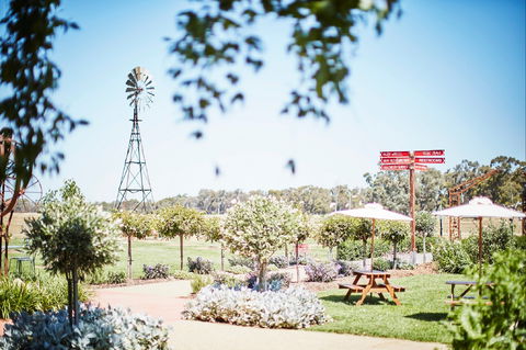 Rich Glen Olive Farm - Sunshine Coast Tourism 2