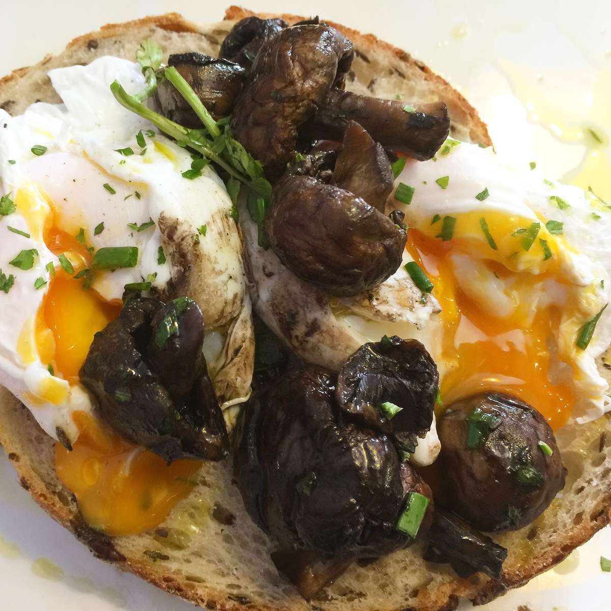 Wahroonga NSW Sunshine Coast Tourism