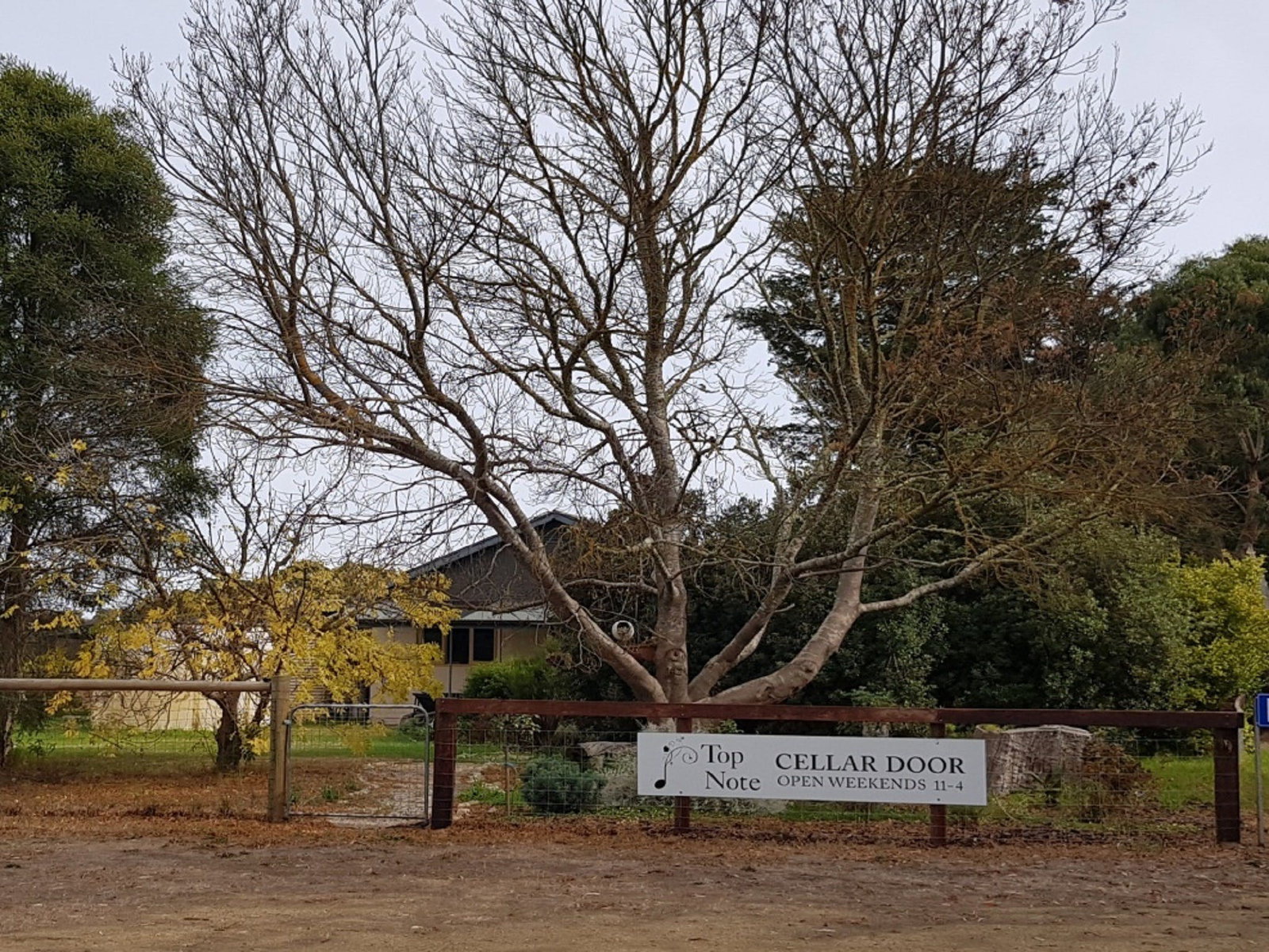 Prospect Hill SA Sunshine Coast Tourism
