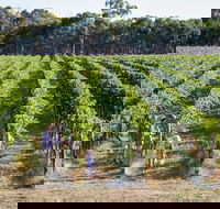 Weathercraft Wines - Sunshine Coast Tourism