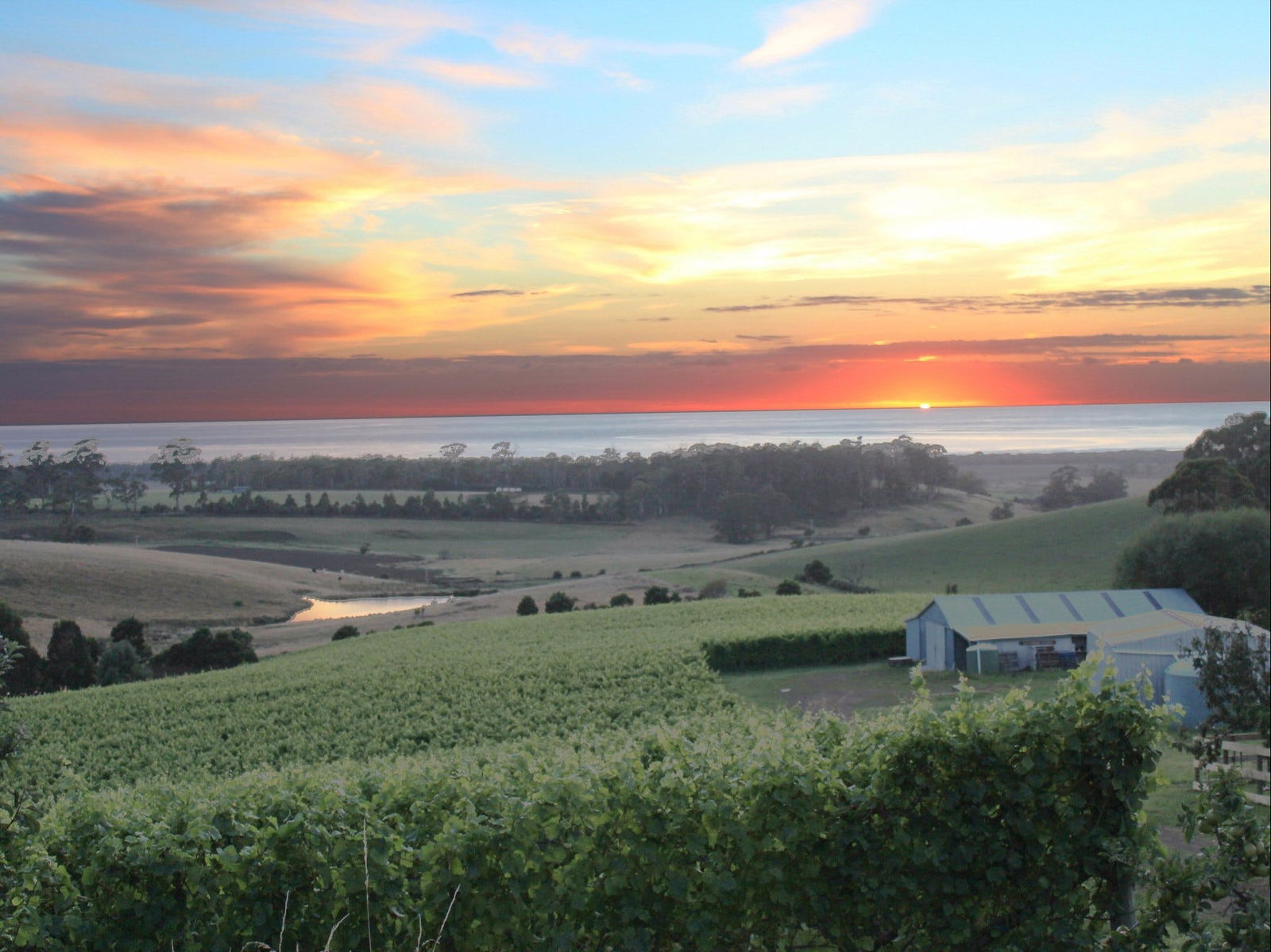 Bream Creek TAS Sunshine Coast Tourism