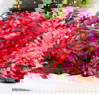 Caph's Bar Restaurant - Sunshine Coast Tourism