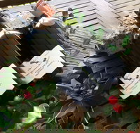 Hill of Promise Winery and Cellar Door - Sunshine Coast Tourism