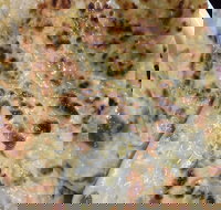 Indian Curry Cuisine - Sunshine Coast Tourism