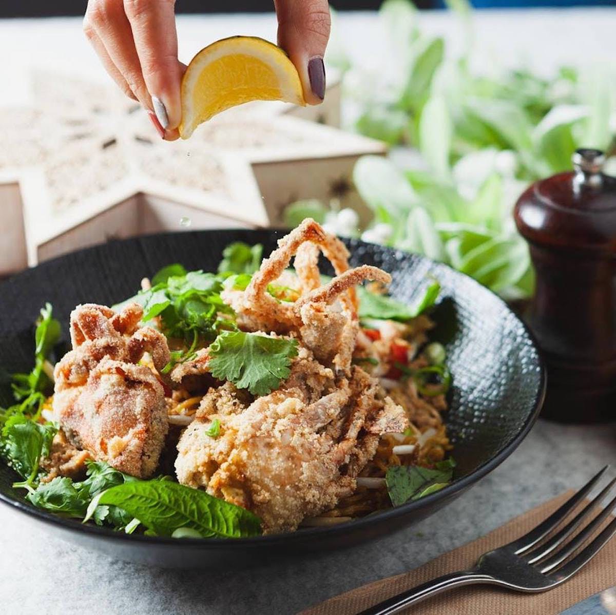 Forbes VIC Sunshine Coast Tourism