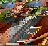 Masala Fusion - Sunshine Coast Tourism