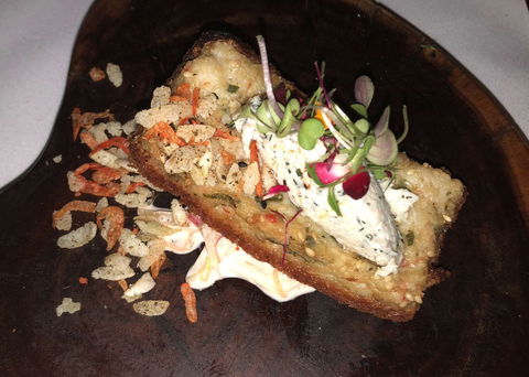 Nautilus - Sunshine Coast Tourism 0