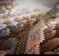 Pompadours Chocolate House - Holiday Sunshine Coast