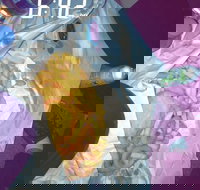 Sharks Tail Fish  Chippery - Holiday Sunshine Coast