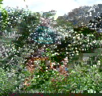 The Cidery - Sunshine Coast Tourism