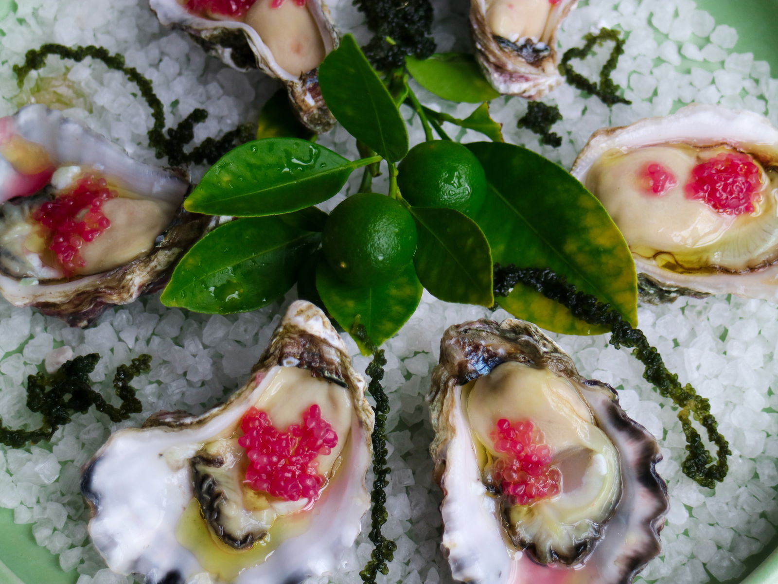 Gerringong NSW Sunshine Coast Tourism