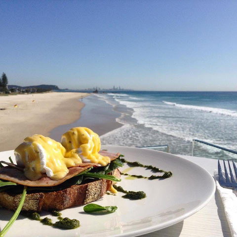 Chompers - Annerley - Holiday Sunshine Coast 0