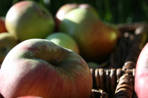 Denmark Heritage Cider Company - Sunshine Coast Tourism 0