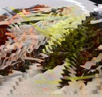 DuoTone - Sunshine Coast Tourism