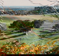 Green Door Winery Cellar Door - Sunshine Coast Tourism