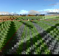 Hawkes Farm - Sunshine Coast Tourism