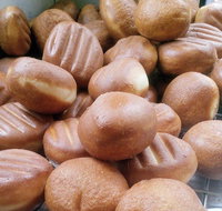 Hot Doughnuts - Sunshine Coast Tourism