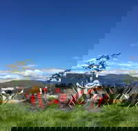 Red Feet Wines - Sunshine Coast Tourism