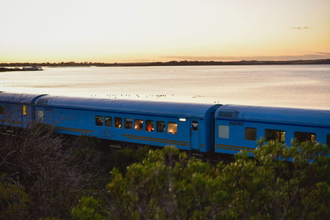 The Q Train - Holiday Sunshine Coast 0
