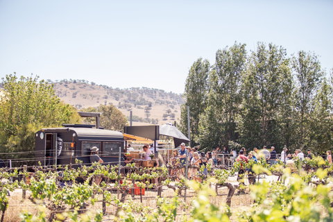 Thistle Hill Wines - Sunshine Coast Tourism 0