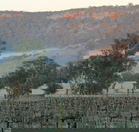 Wilksch Estate Wines - Sunshine Coast Tourism