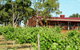 Barangaroo Boutique Wines - thumb 0
