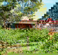 Barangaroo Boutique Wines - Sunshine Coast Tourism