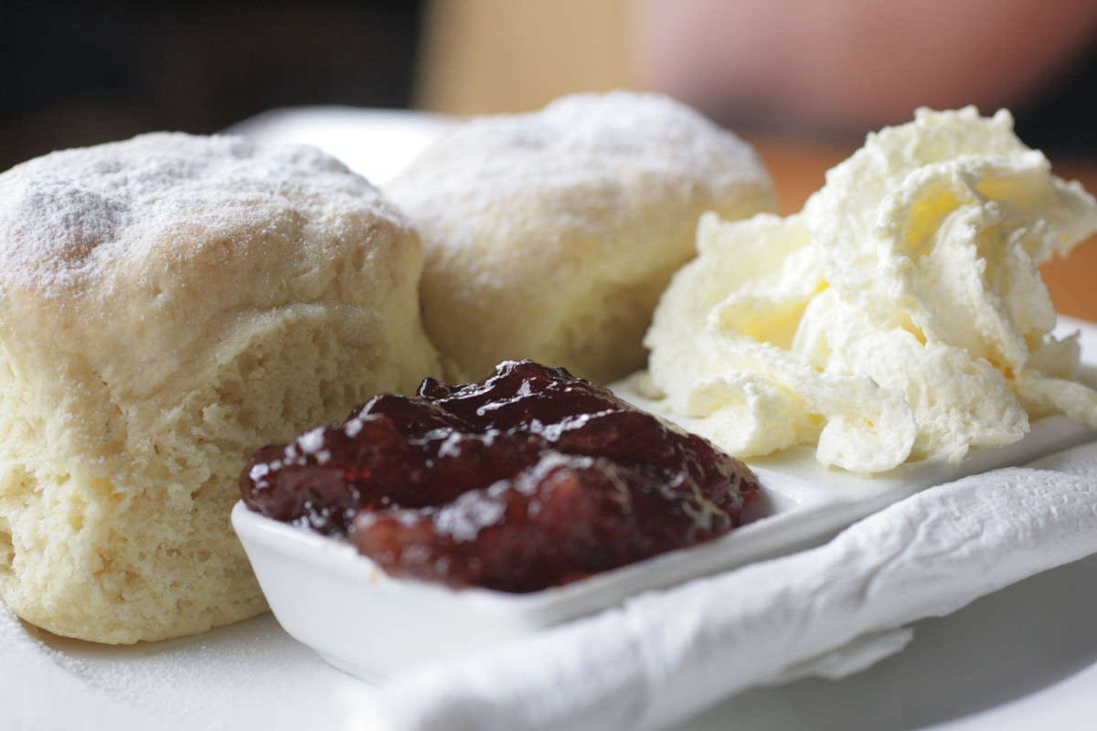 Blackmans Point NSW Sunshine Coast Tourism