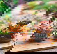 Masonmill Family Restaurant - Holiday Sunshine Coast