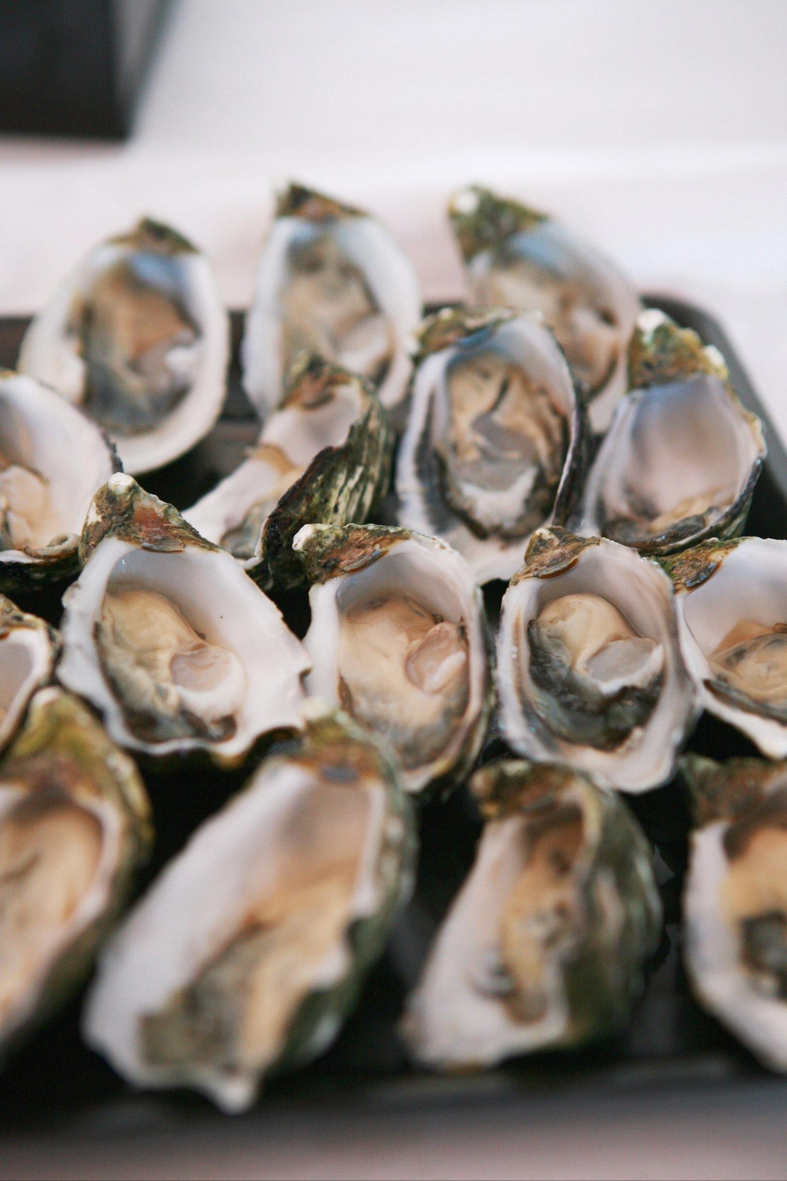 Pirie East SA Sunshine Coast Tourism