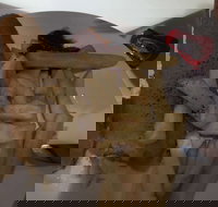 Tandoori Inn - Sunshine Coast Tourism